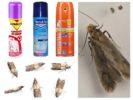 Moth aerosol