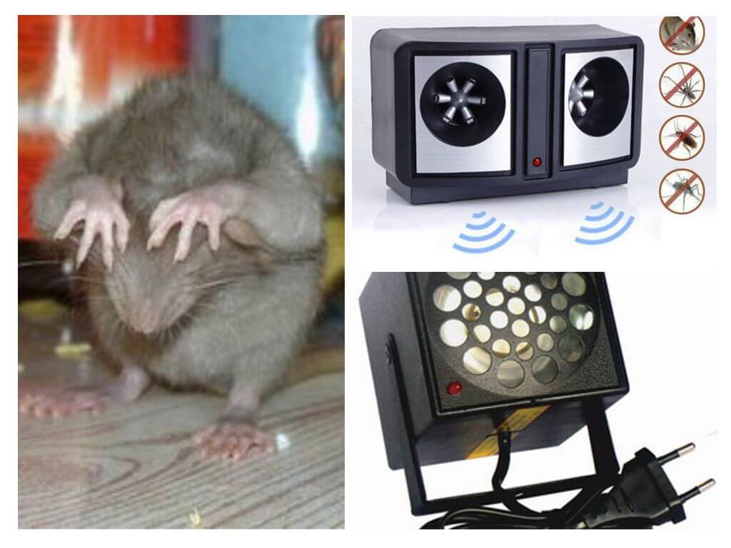 Ultrasonic Rodent Repellers