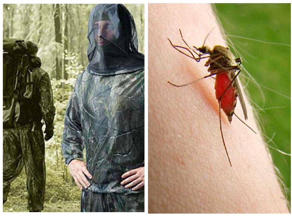 Damit para sa mga lamok, ticks at midge - isang pangkalahatang-ideya