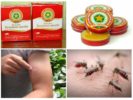 Balm dấu hoa thị từ muỗi và vết cắn của chúng