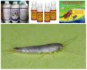 Pest Chemicals