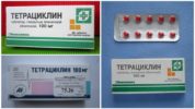 Tetracycline với một vết cắn