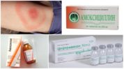 Thuốc kháng sinh trị bệnh Borreliosis