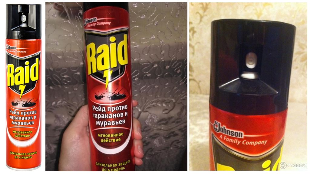 Ang Cockroach Raid Aerosol