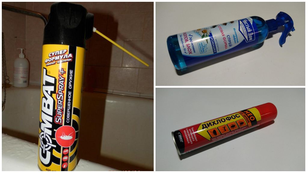 Ang pag-spray at aerosol mula sa mga ipis